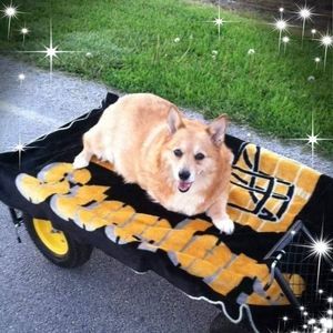 Meet your Posher, Amy